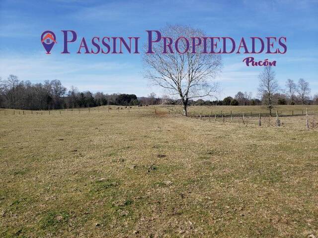#1039 - Campo para Venta en Loncoche - IX - 1