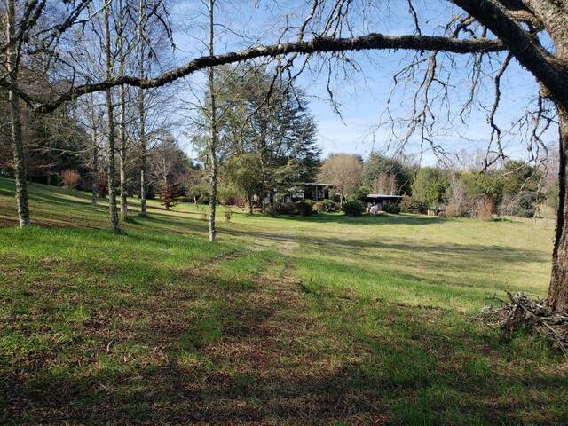 #1039 - Campo para Venta en Loncoche - IX - 2