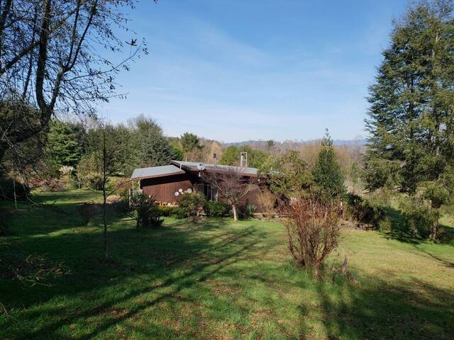 #1039 - Campo para Venta en Loncoche - IX - 3