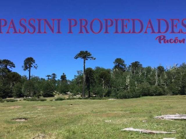 #1044 - Campo para Venta en Pucón - IX - 1