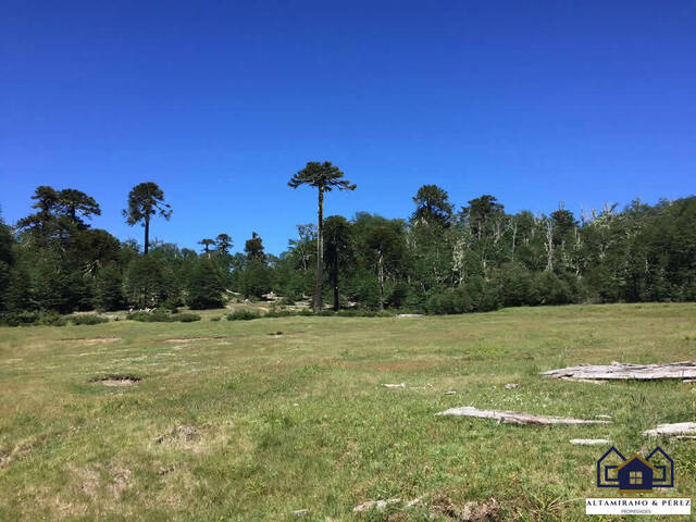 #1044 - Campo para Venta en Pucón - IX - 3