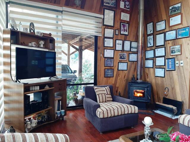 #1008 - Casa para Venta en Pucón - IX - 3