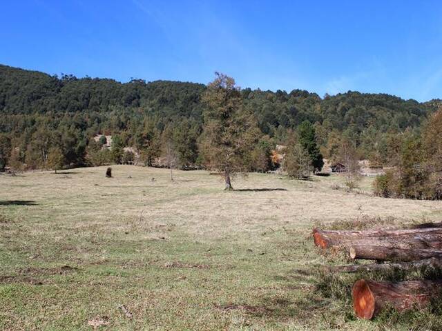 #874 - Campo para Venta en Pucón - IX - 2