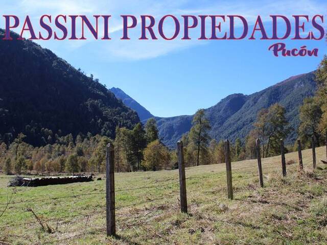 #874 - Campo para Venta en Pucón - IX - 1