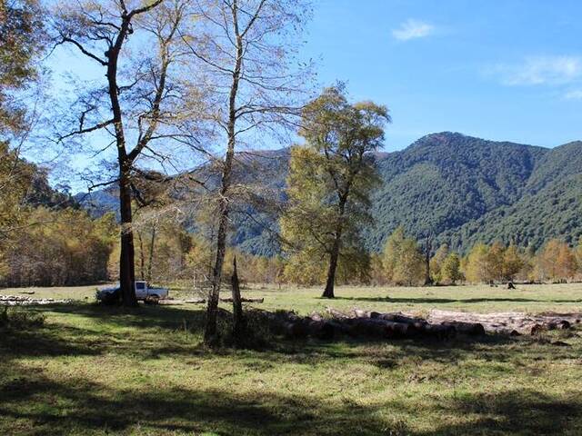 #874 - Campo para Venta en Pucón - IX - 3