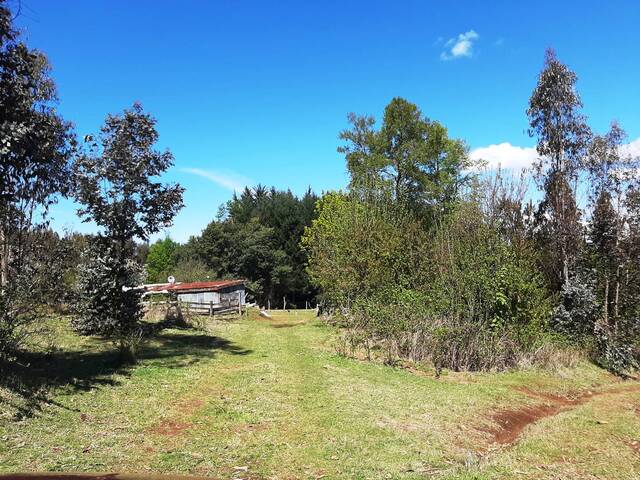 #680 - Campo para Venta en Gorbea - IX - 3