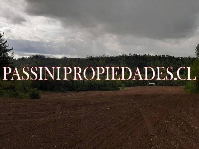 #973 - Campo para Venta en Gorbea - IX