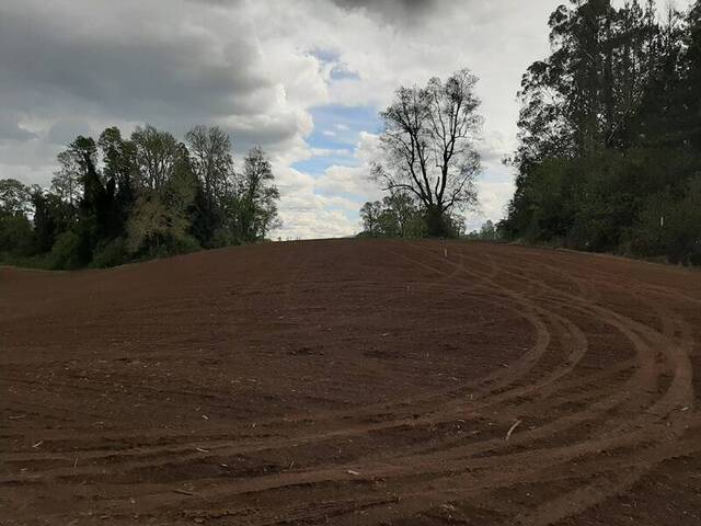 #973 - Campo para Venta en Gorbea - IX