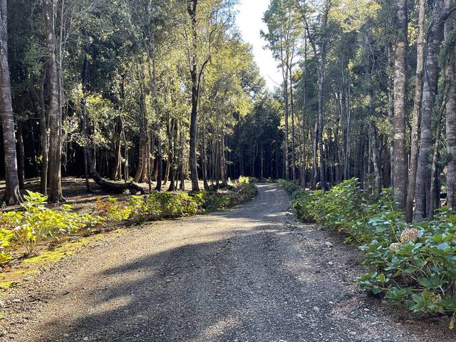 #1042 - Parcela para Venta en Villarrica - IX - 2