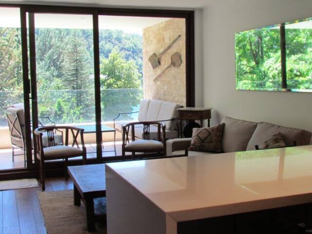 #1069 - Departamento para Venta en Pucón - IX - 3