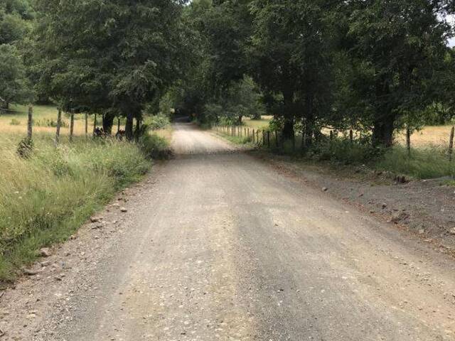 #1098 - Campo para Venta en Curarrehue - IX - 3
