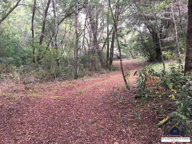 #1540 - Campo para Venta en Villarrica - IX - 2