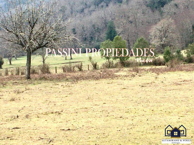 #1540 - Campo para Venta en Villarrica - IX - 1