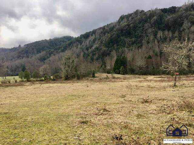 #1540 - Campo para Venta en Villarrica - IX - 3