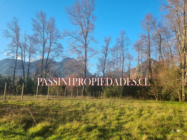 #1096 - Campo para Venta en Pucón - IX - 1