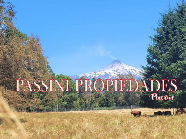 #505 - Campo para Venta en Pucón - IX - 1