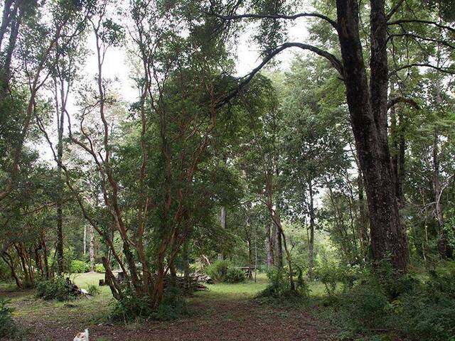 #1562 - Parcela para Venta en Pucón - IX - 2