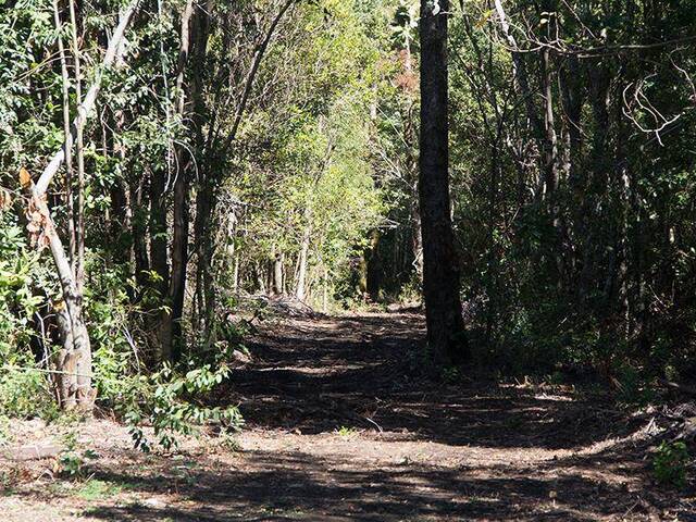 #1562 - Parcela para Venta en Pucón - IX - 3